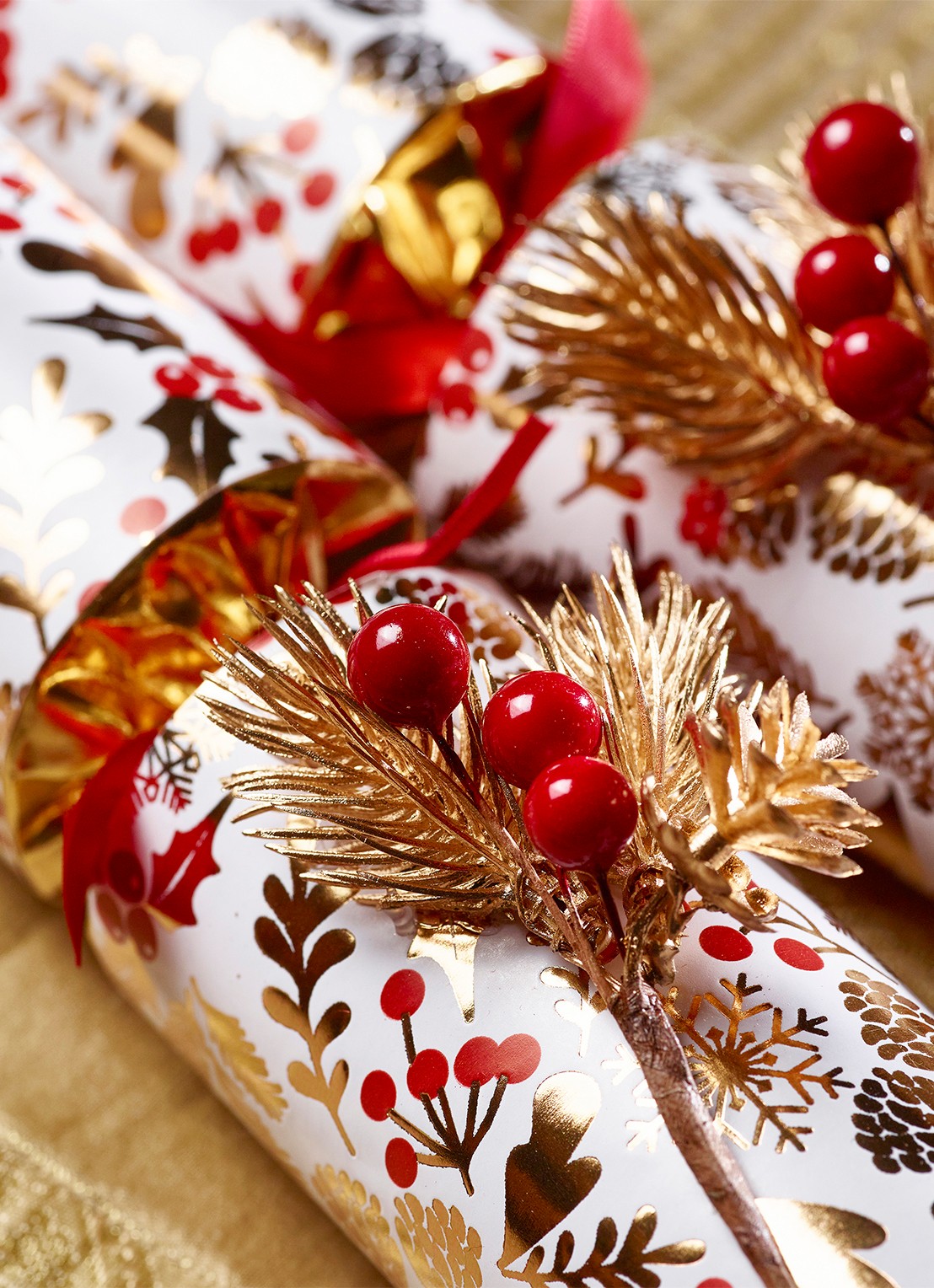 Robin Reed Berry kerstcracker set van 6 - voorkant 2 wit