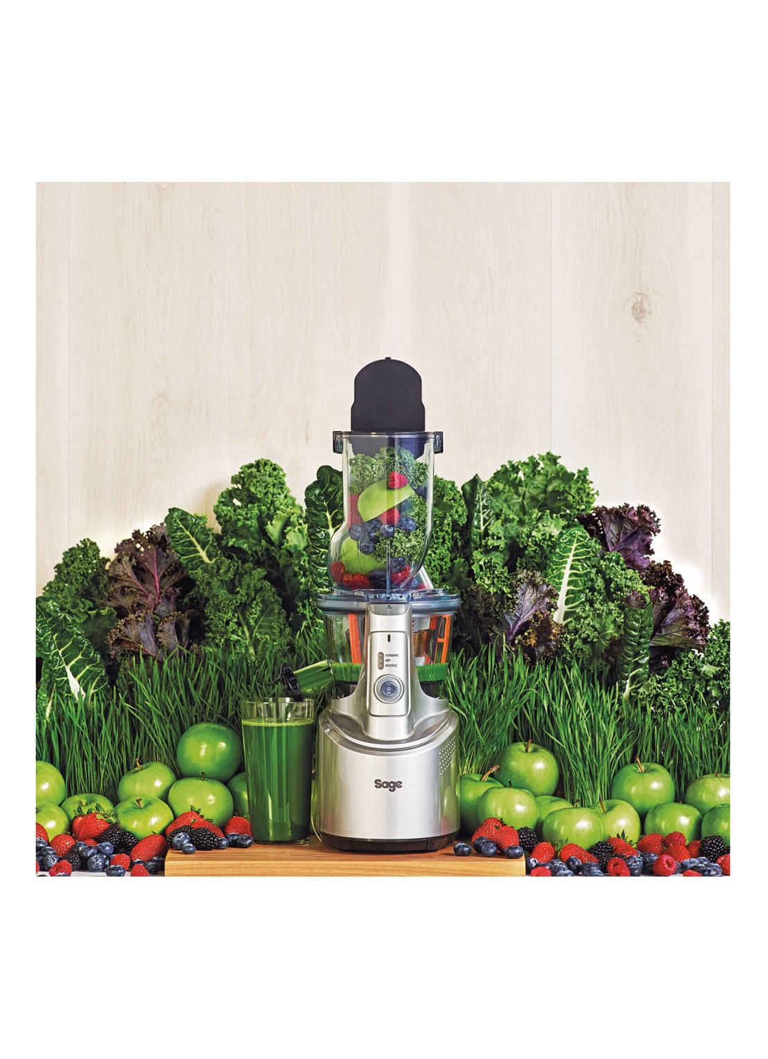 Sage The Big Squeeze slowjuicer SJS700SIL4EEU1 - detail 4 zilver