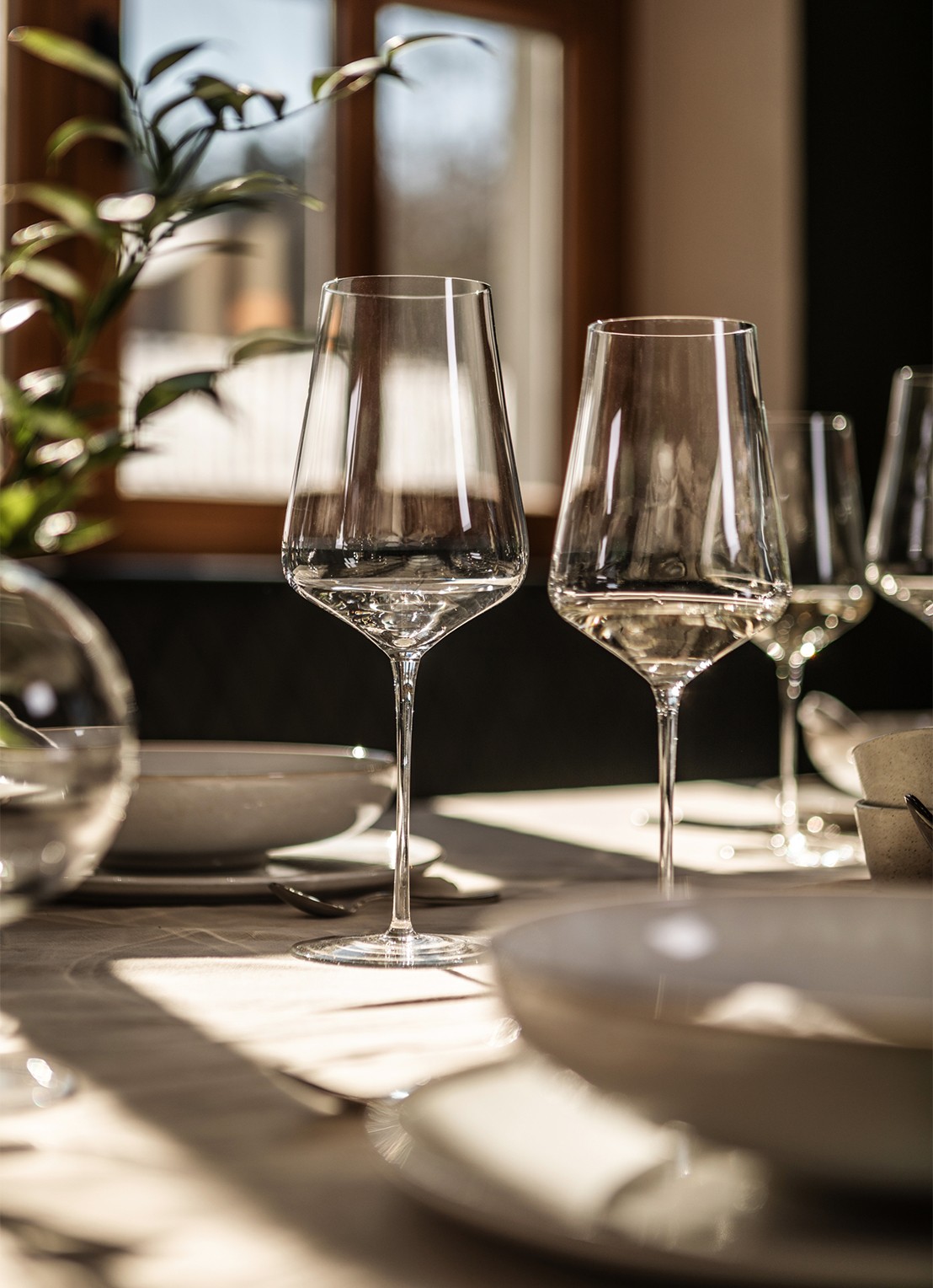 Schott Zwiesel Duo Bordaux rode wijnglas 73cl set van 2 - detail transparant