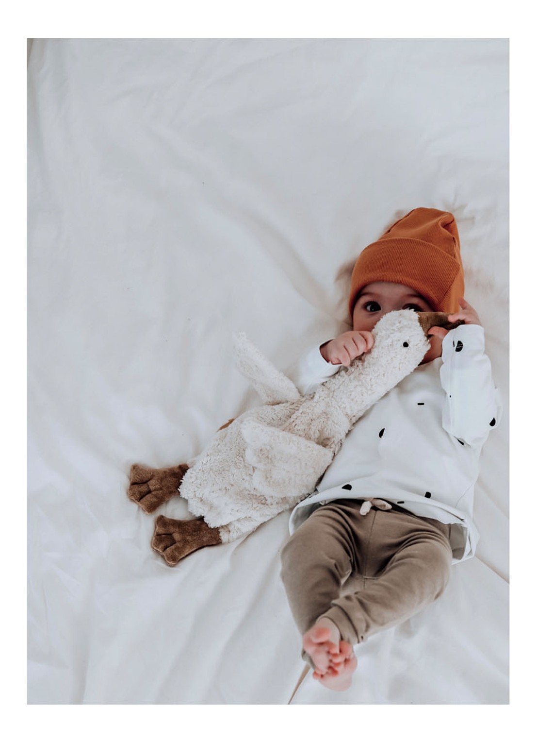 Senger Naturwelt Cuddly animal Goose small knuffel met warmtekussen 37 cm - voorkant 2 gebroken wit