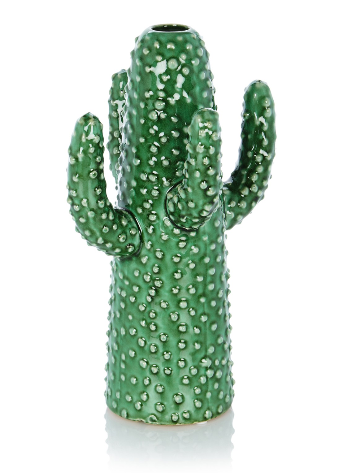 Serax Cactus vaas 29 cm - voorkant groen