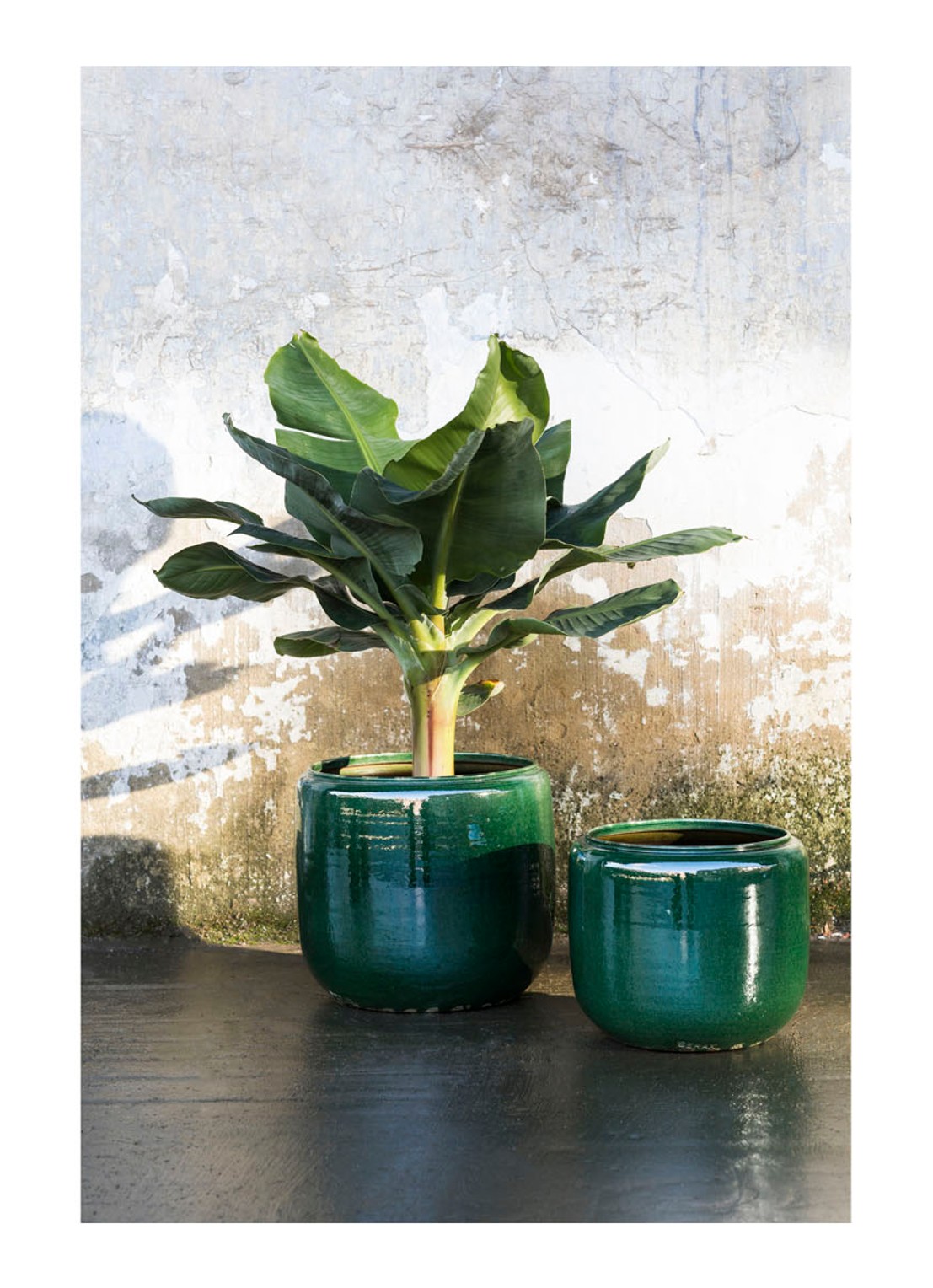 Serax Costa M bloempot voor binnen Ø21 cm - voorkant 2 groen