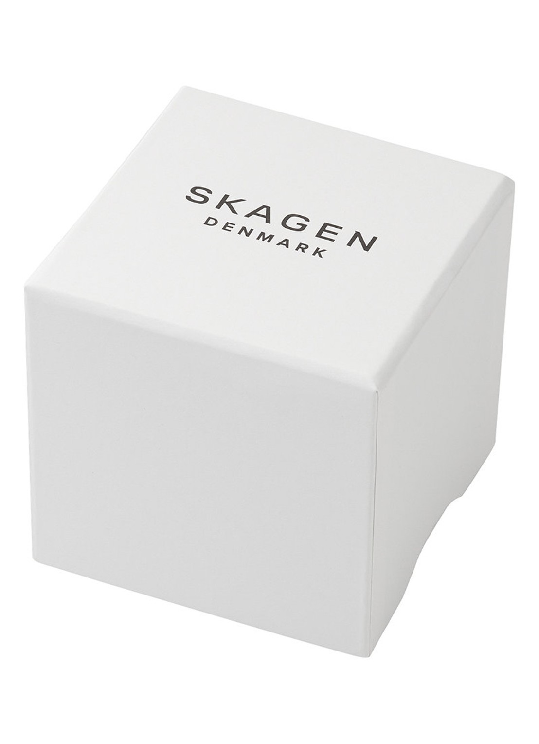 Skagen Grenen Solar Powered horloge SKW6836 - detail 5 zilver