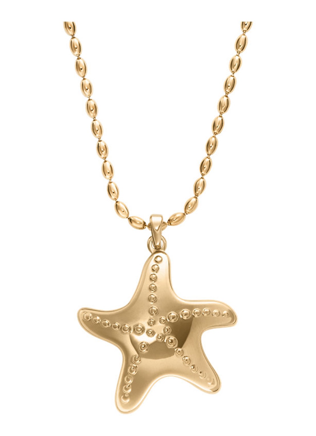 Skagen Moderne Ikon ketting SKJ1899710 - voorkant goud