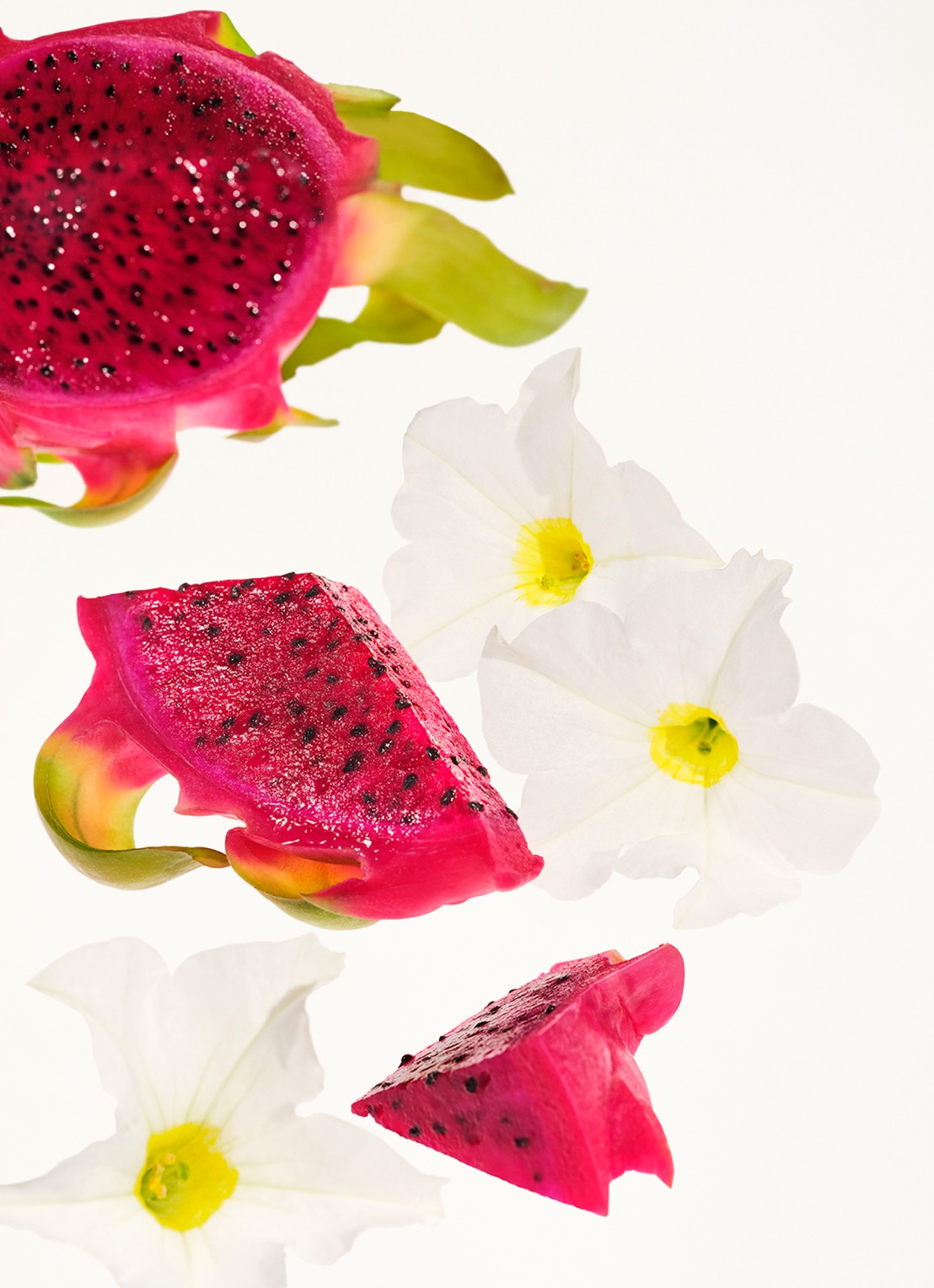 Sol de Janeiro Beija Flor Elasti-Body Oil - huidolie - detail 3 undefined