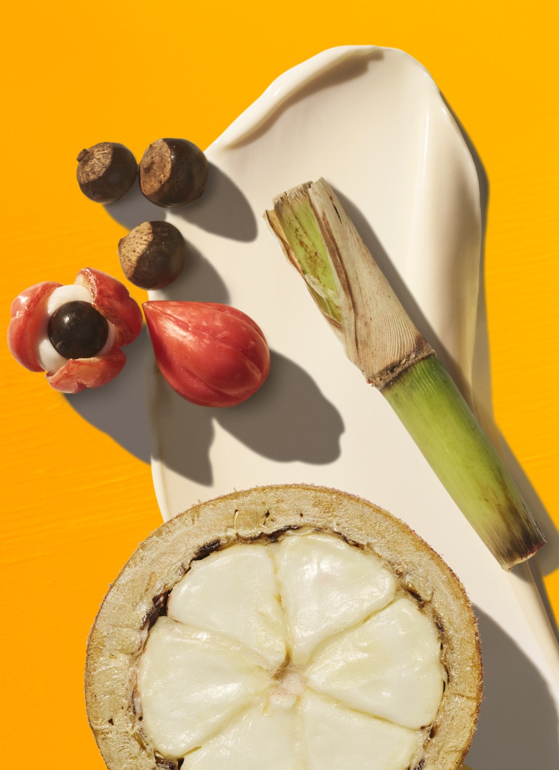 Sol de Janeiro Bum Bum Cream Refill Pods - navulling bodycrème - detail 5 undefined