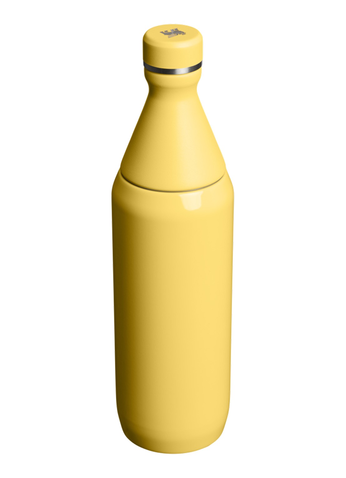Stanley De All Day Slim waterfles 60 cl - achterkant geel