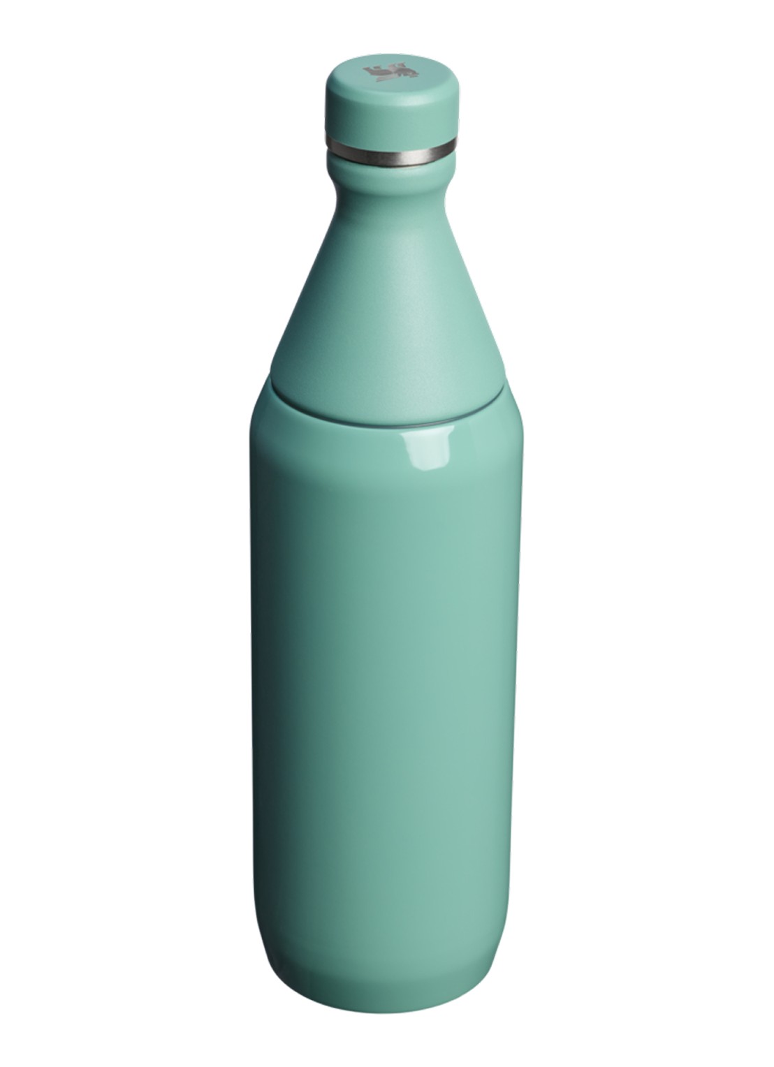 Stanley De All Day Slim waterfles 60 cl - achterkant 3 lichtgroen
