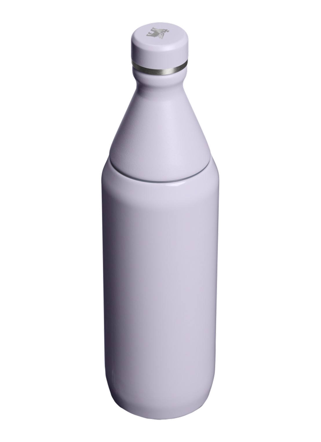 Stanley De All Day Slim waterfles 60 cl - achterkant 3 lila