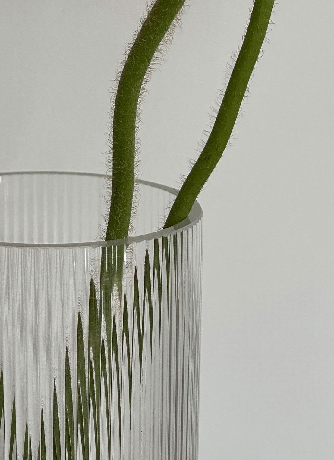 Stelton Pilastro vaas 21 cm - detail 2 transparant