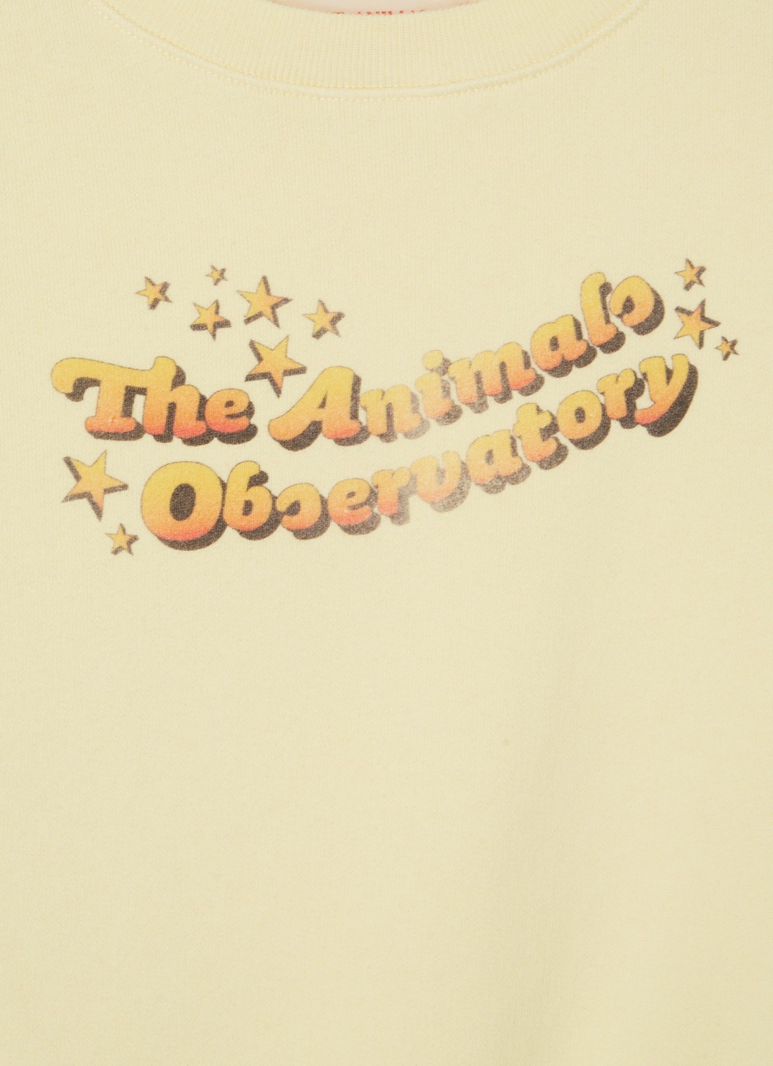 The Animals Observatory Sweater met print - detail 3 lichtgeel