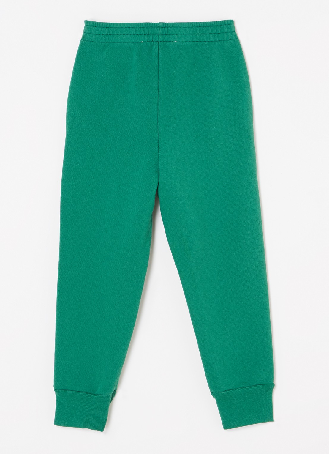 The Animals Observatory Tapered fit joggingbroek met logoprint - voorkant 2 groen