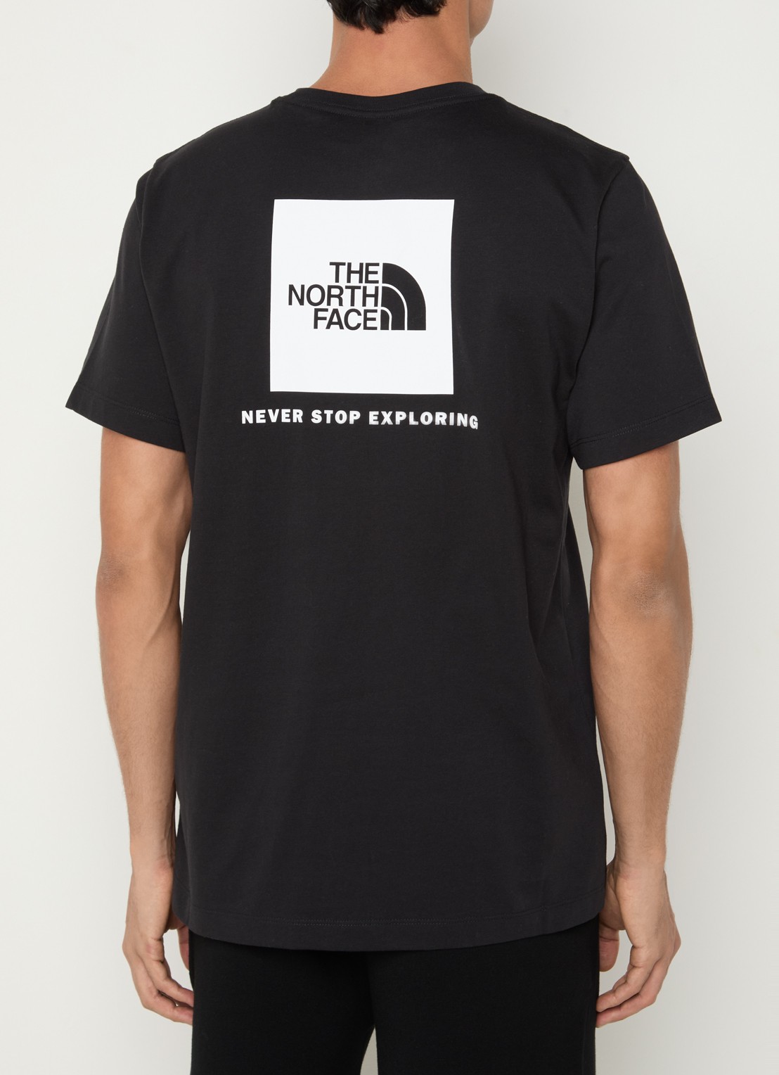 The North Face Evolution Box T-shirt met logo- en backprint - detail beige