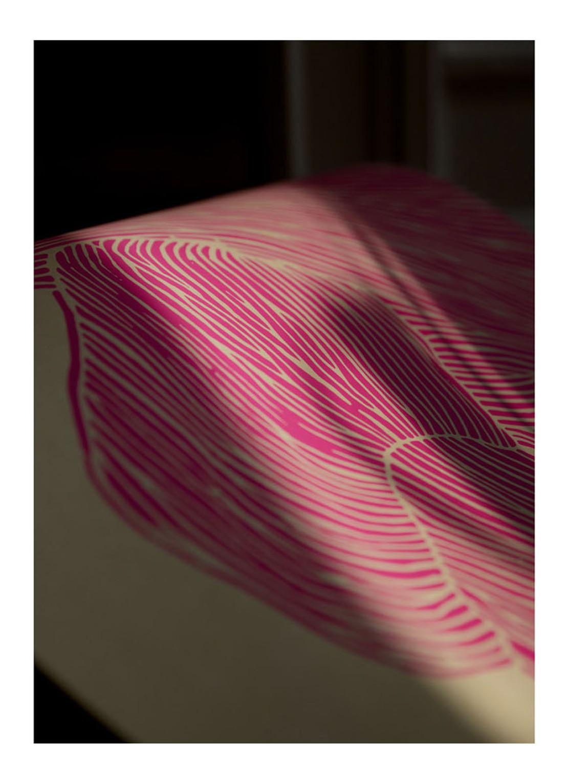 THE POSTER CLUB Rebecca Hein, The Line - Pink print - detail 3 roze