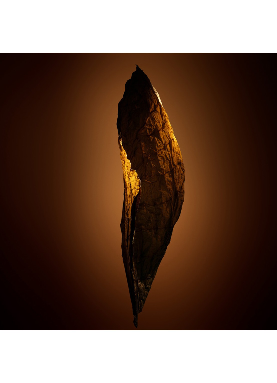 TOM FORD Tobacco Chocolat Eau de Parfum - detail 5 undefined