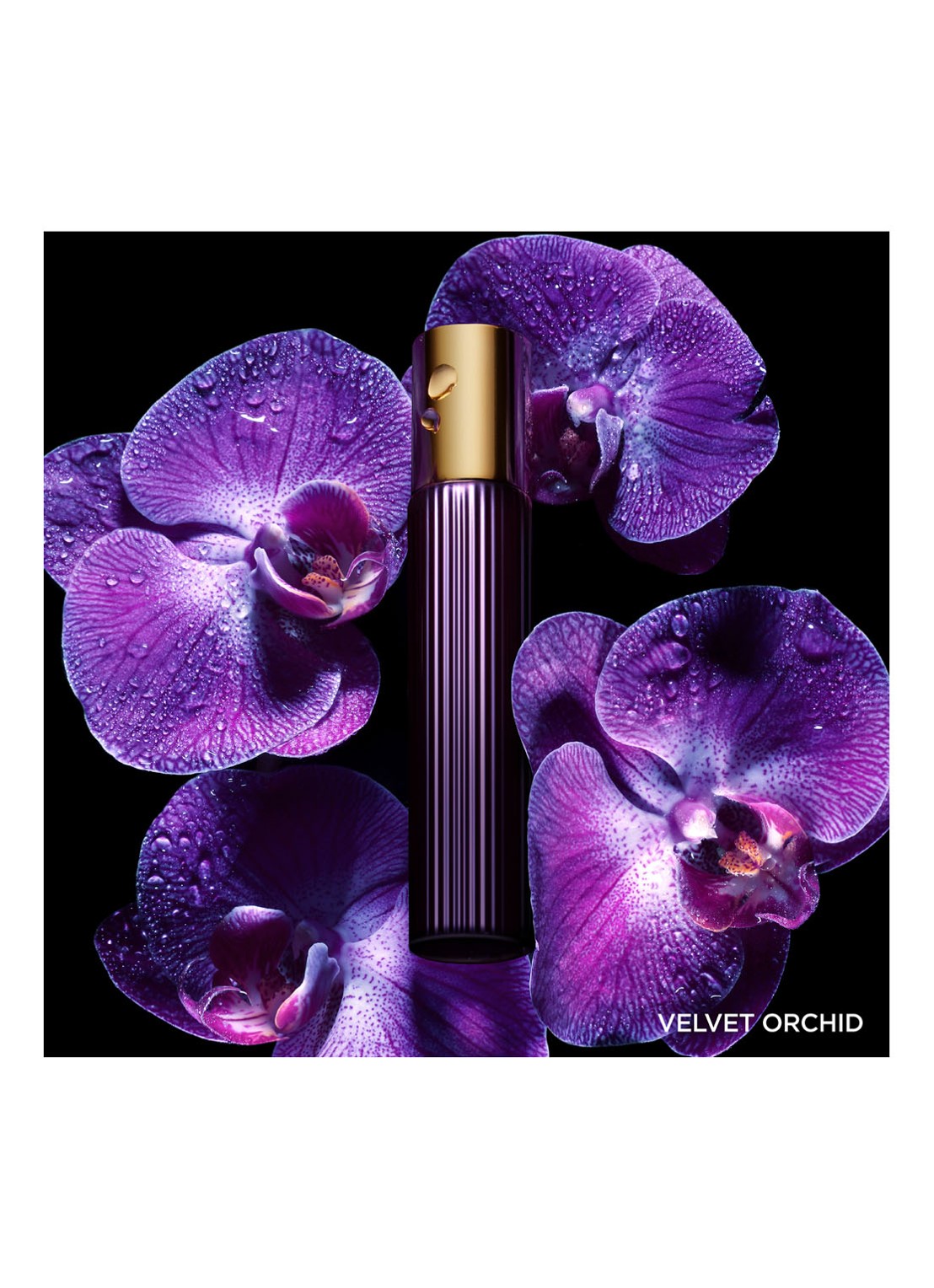 Tom Ford Velvet Orchid Eau de Parfum - detail 5 undefined