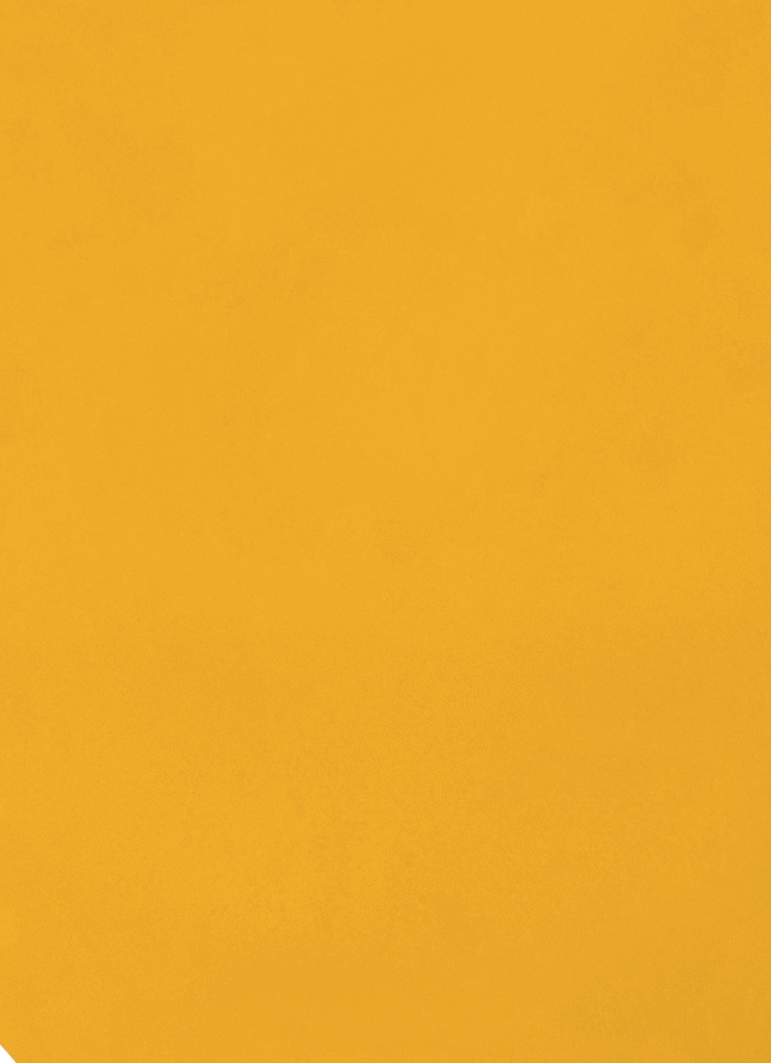 Urban Nature Culture Good Morning theetip 9 cm - detail 3 orange