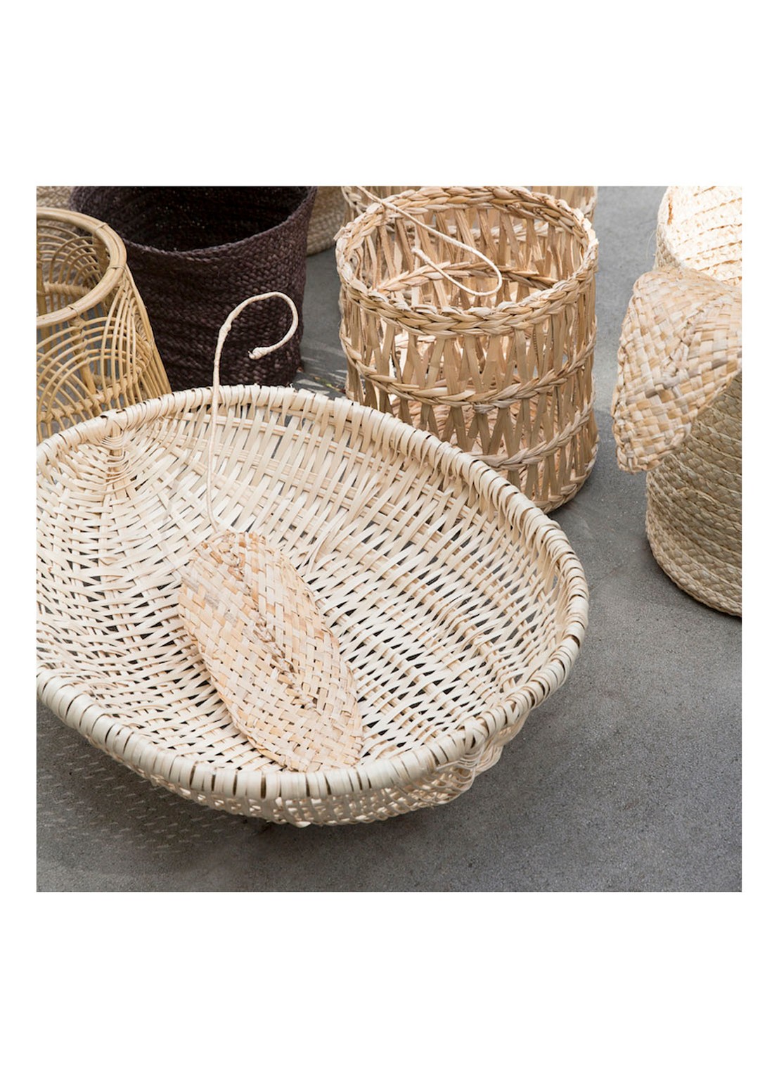 Urban Nature Culture Planta de Praia decoratieblad  80 cm - detail 3 beige
