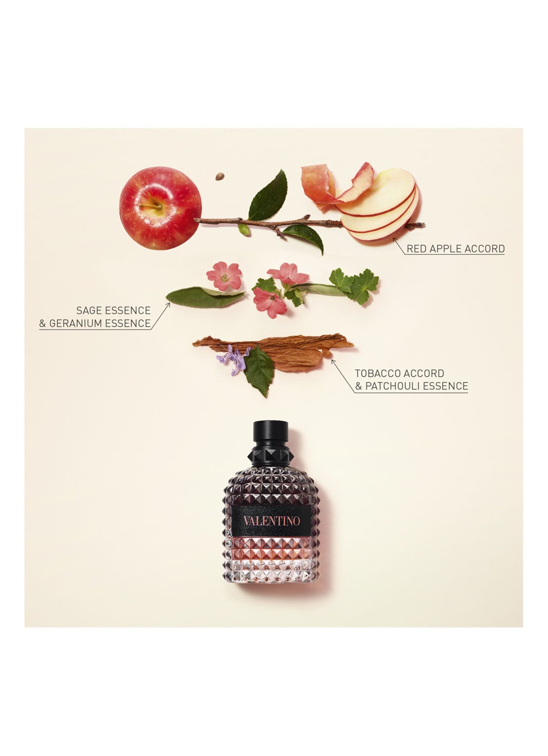 Valentino Born in Roma Uomo Coral Fantasy Eau de Toilette - detail 5 undefined