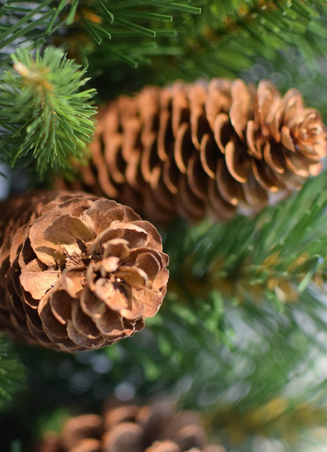 Van Der Gucht Pine Cone kerstkrans 50 cm - voorkant 2 groen