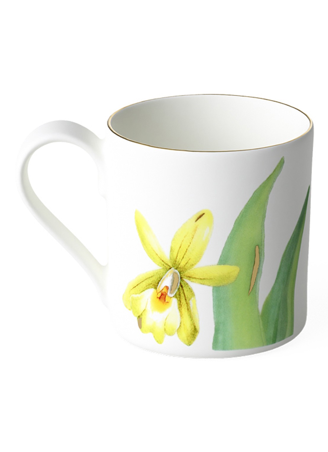 Villeroy & Boch Amazonia espressokopje 8 cl - voorkant 5 gebroken wit