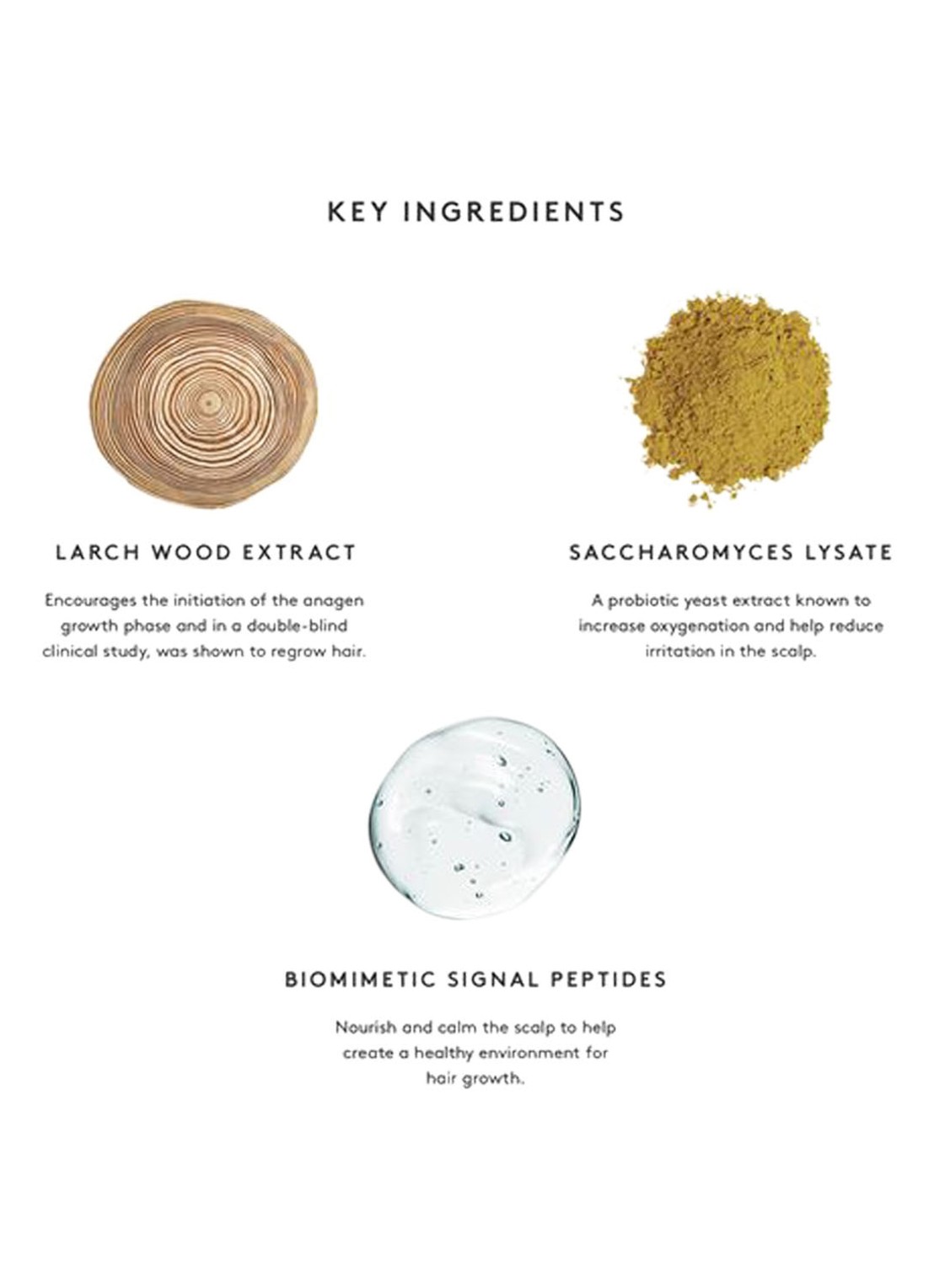 Virtue Flourish Density Booster - hoofdhuid serum - detail 2 undefined