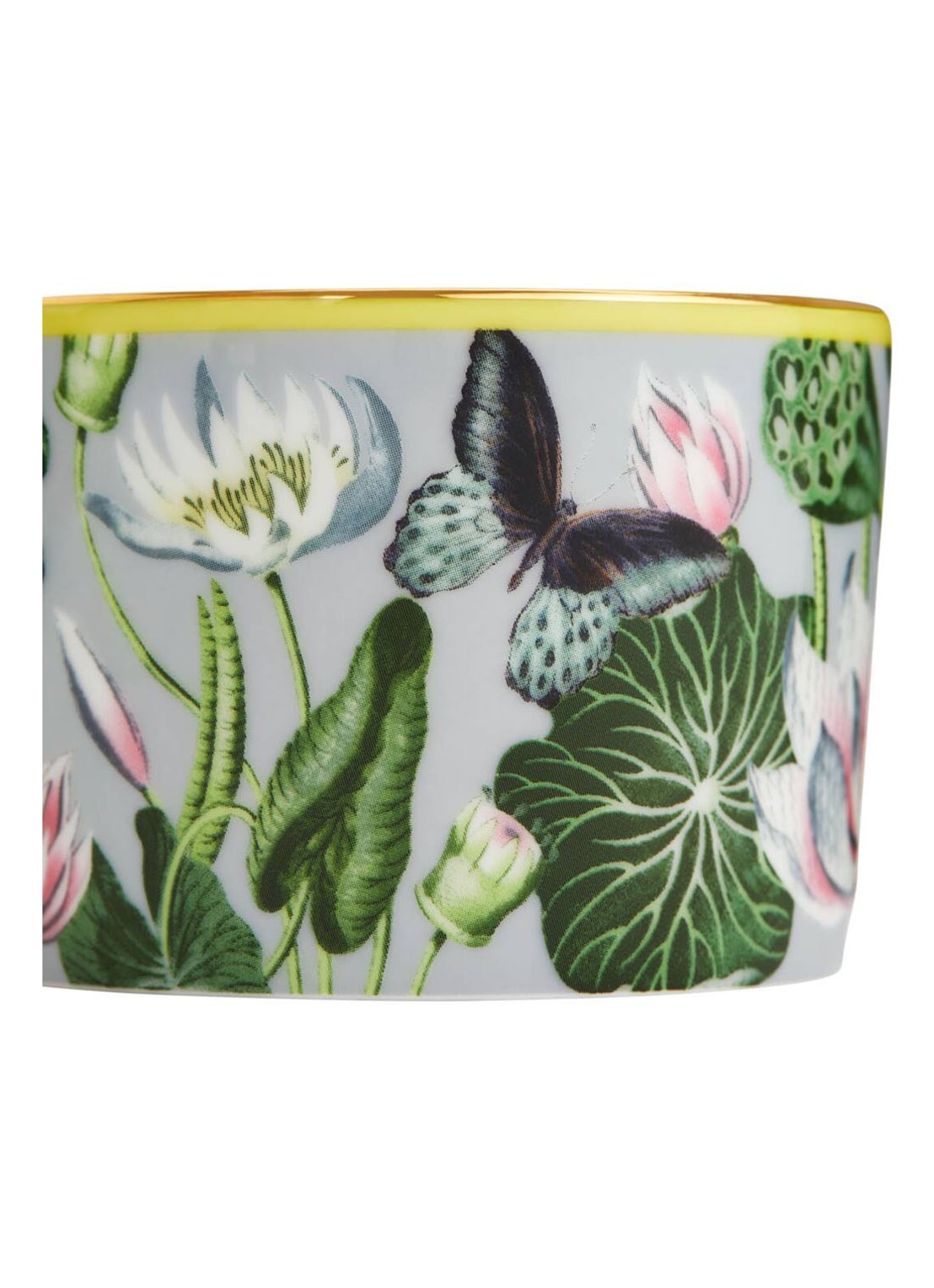 Wedgwood Waterlily Tcup & Scr Bxd - detail 3 lichtgroen