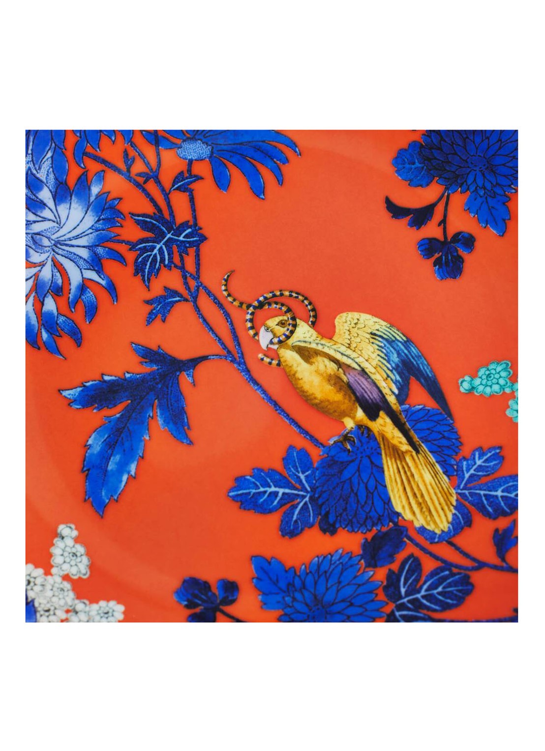 Wedgwood Wonderlust Golden Parrot ontbijtbord 20cm - achterkant 3 oranjerood