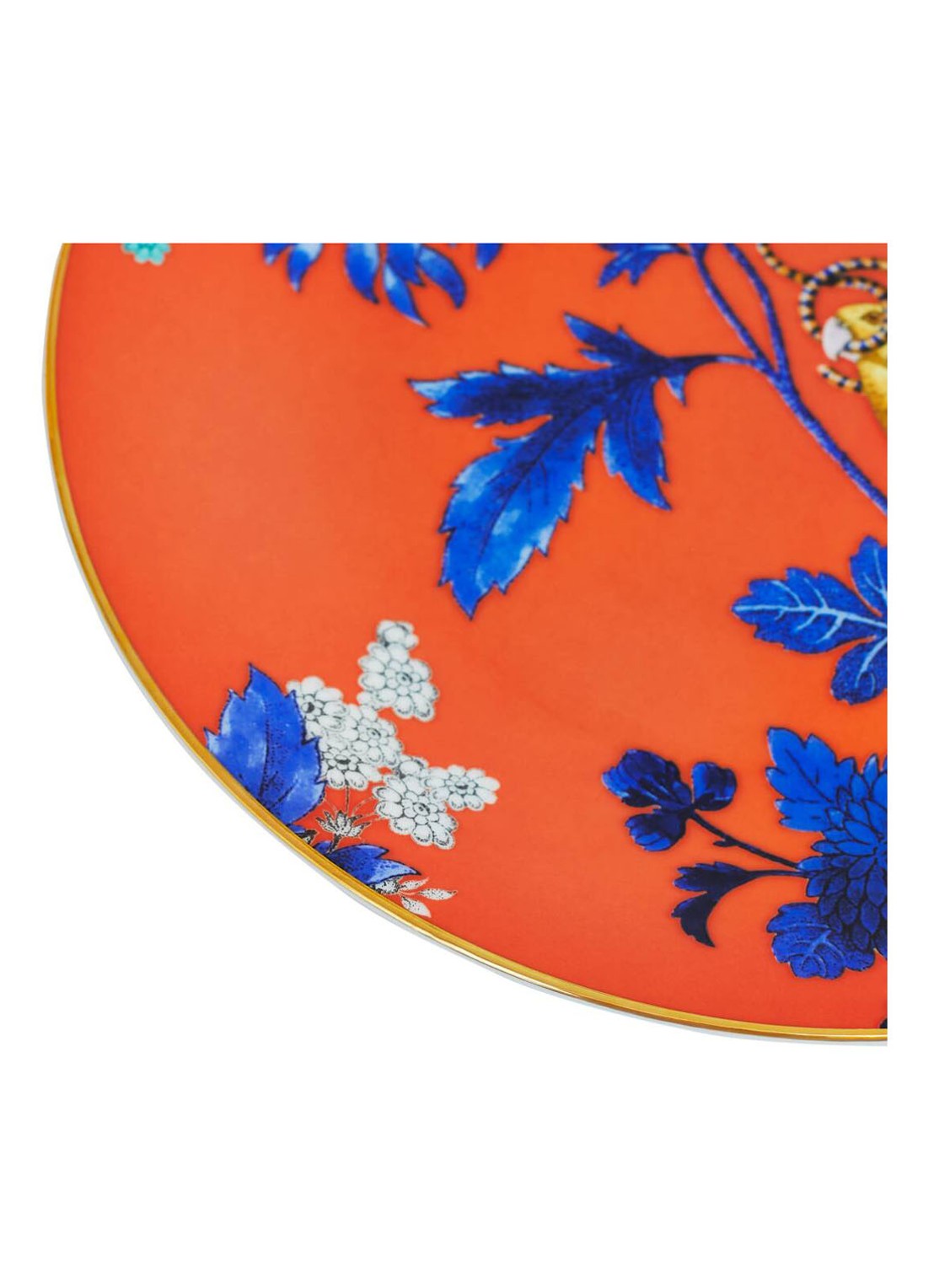 Wedgwood Wonderlust Golden Parrot ontbijtbord 20cm - voorkant 2 oranjerood