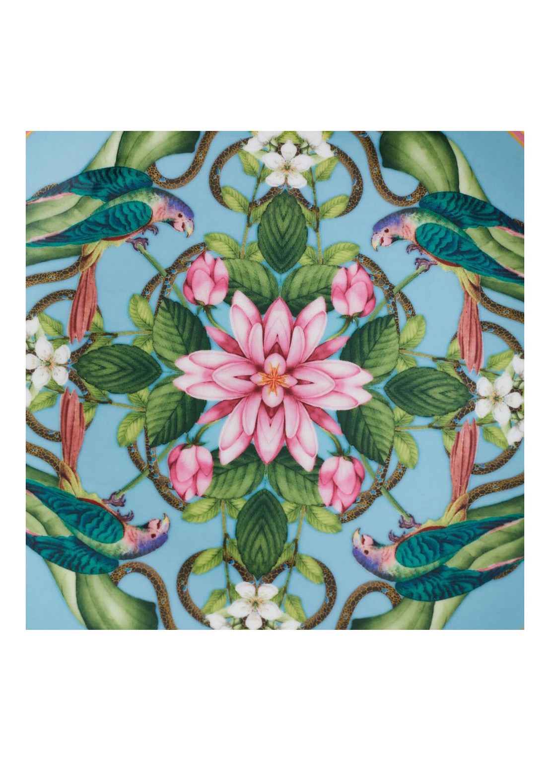 Wedgwood Wonderlust Menagerie ontbijtbord 20 cm - achterkant multicolor