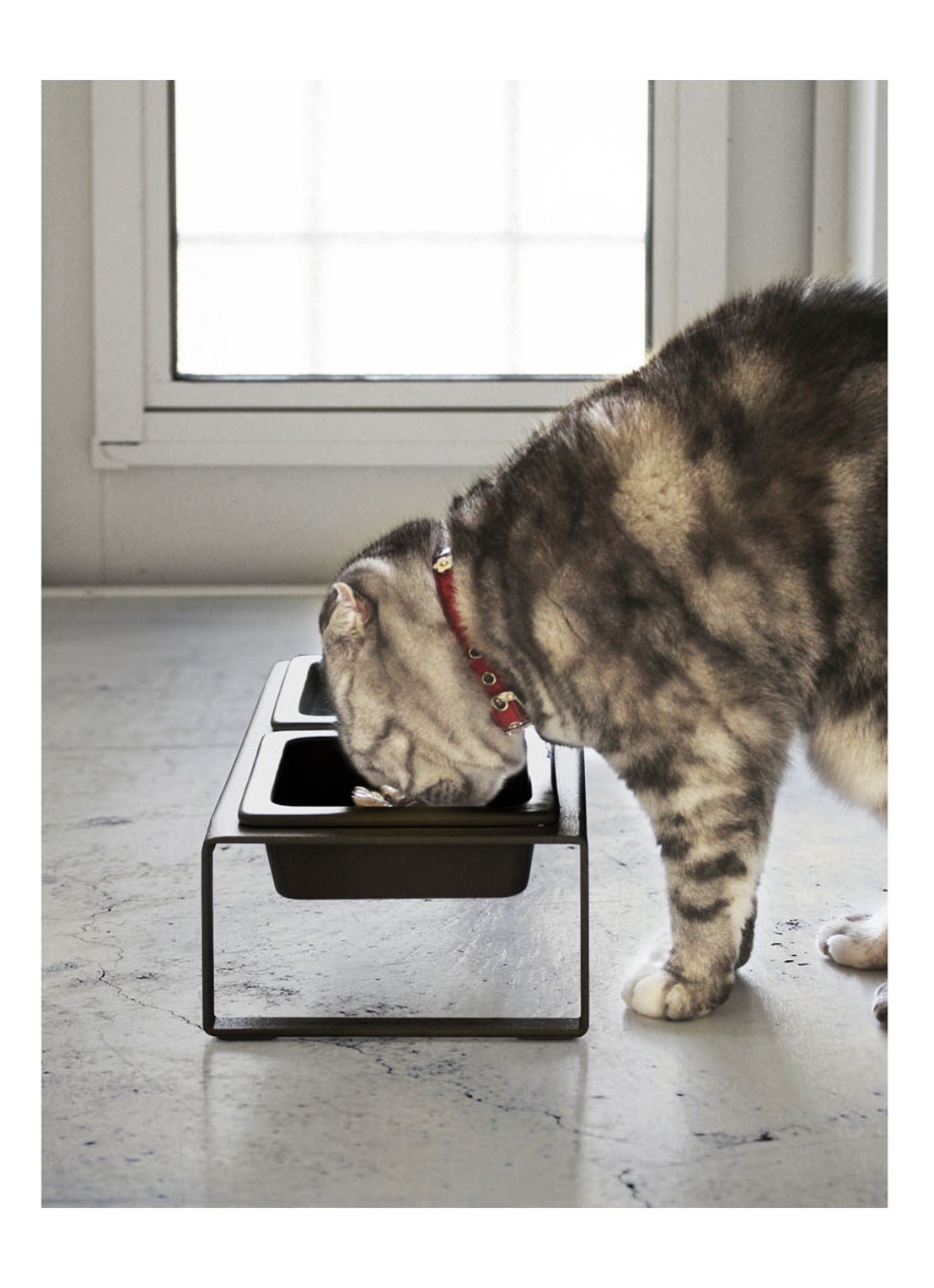 Yamazaki Tower Tall voerbak voor katten 29 x 15,5 cm - detail 6 zwart