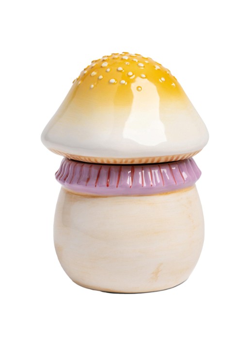 &Klevering Magic Mushroom voorraadpot