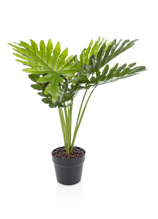 &Klevering Philodendron kunstplant 70 cm - voorkant felgroen