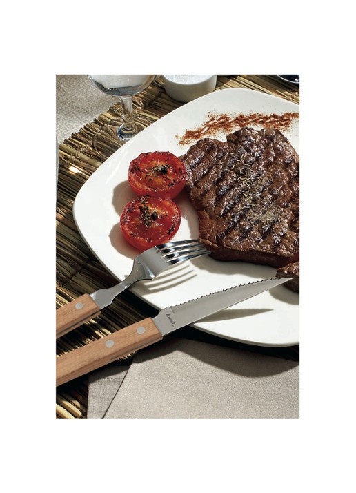 Amefa Steak messenset 6-delig - voorkant 2 bruin
