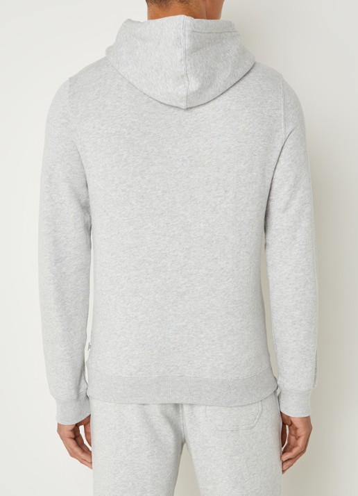 America Today Sanford hoodie met logoborduring - achterkant 5 grijsmele