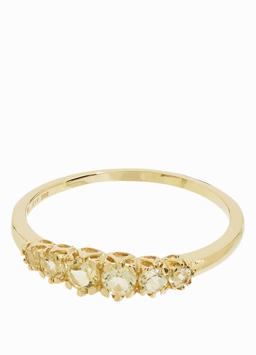 Anna + Nina Anna ring van 14 karaat geelgoud