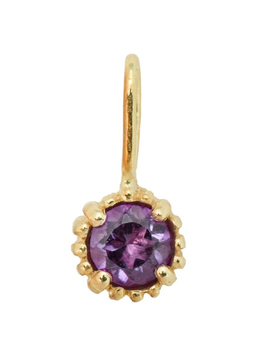 Anna + Nina Birthstone hanger Februari van 14 karaat goud met amethist - voorkant geelgoud