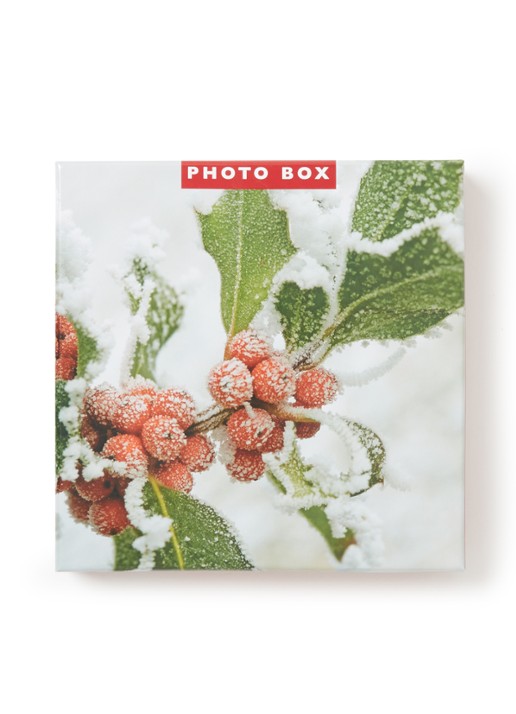 Art Group Besneeuwde takken met rode besjes kerstkaart - 2 designs - set van 12 inclusief enveloppen