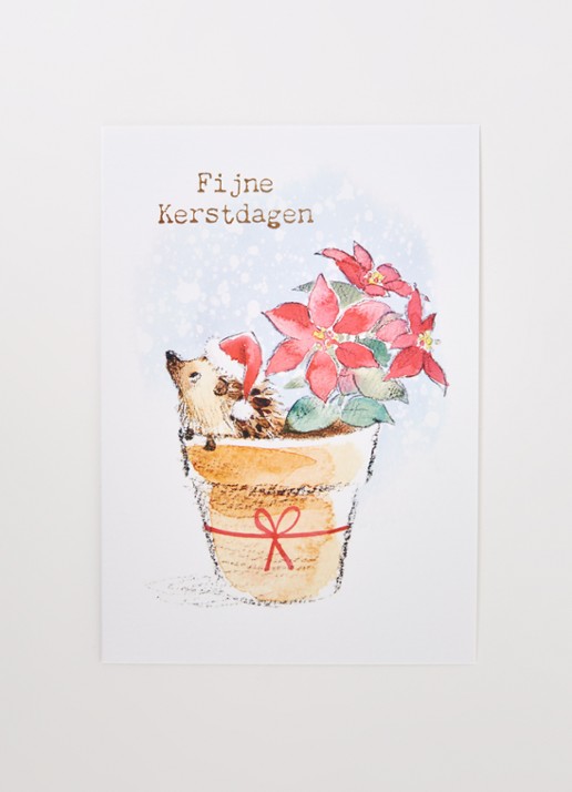 Art Group Egel - 1 design - kerstkaart met envelop - set van 10 - voorkant 2 rood