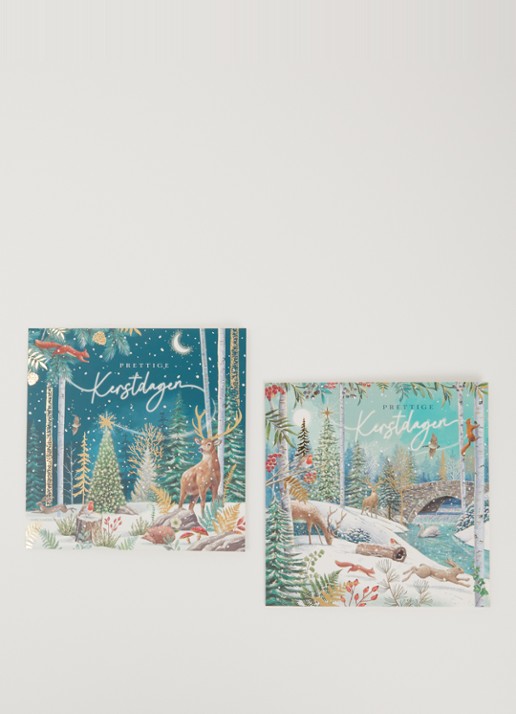 Art Group Goede Doelen kerstkaart - 2 designs - set van 10 inclusief enveloppen - voorkant 2 groen