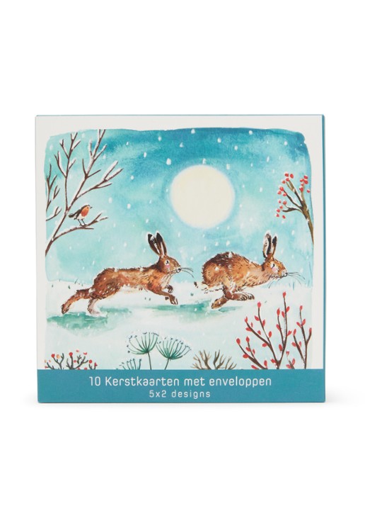 Art Group Goede Doelen kerstkaart - 2 designs - set van 10 inclusief enveloppen