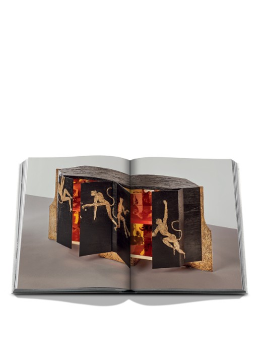 Assouline Achille - detail multicolor