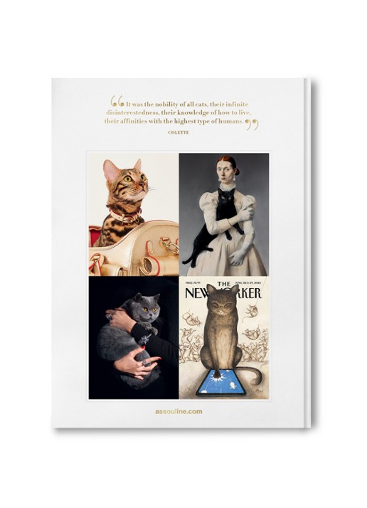 Assouline Chic Cats - achterkant 6 multicolor