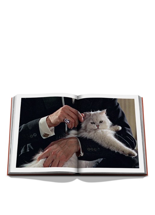 Assouline Chic Cats - detail 3 multicolor