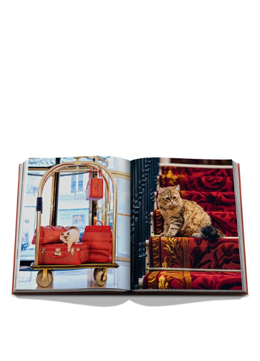 Assouline Chic Cats - detail 4 multicolor