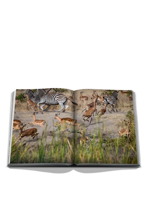 Assouline Londolozi: The Safari That Changed Everything - detail 5 multicolor