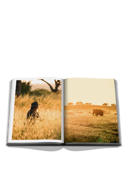 Assouline Londolozi: The Safari That Changed Everything - detail 6 multicolor