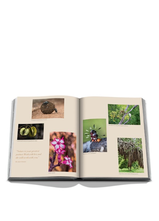 Assouline Londolozi: The Safari That Changed Everything - detail 8 multicolor