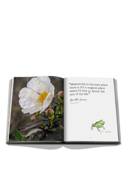 Assouline Malhadinha: The Soul of Alentejo - detail 7 multicolor