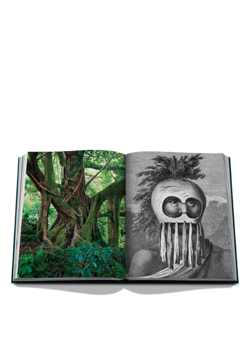 Assouline Pacific Islands: James Cook Voyages - detail 8 multicolor